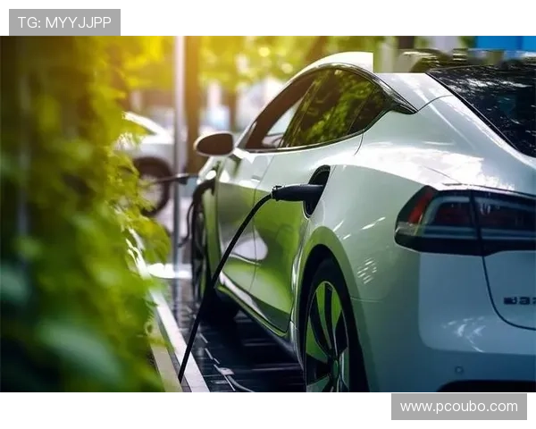 欧博二代D豪华版节能环保表现优异，绿色出行新选择，兼顾豪华与环保