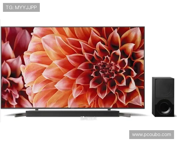 欧博222胆前级在音质表现上的独特优势，提升家庭影院体验的最佳选择