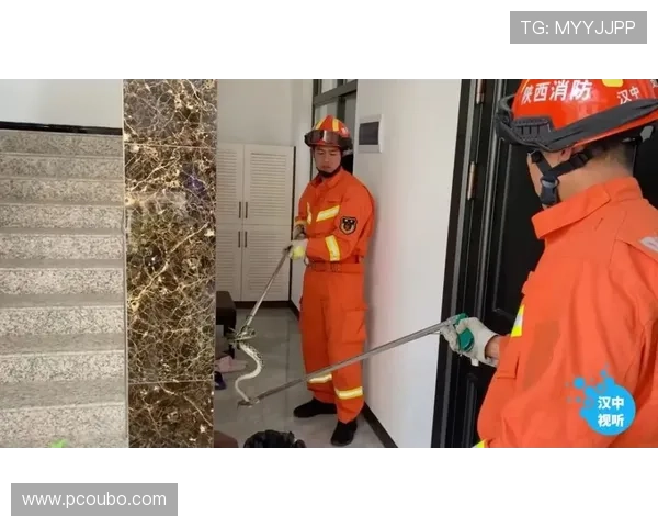 欧博游戏登录安全保障措施全面解析